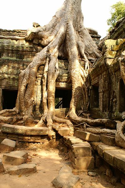Angkor 17.JPG